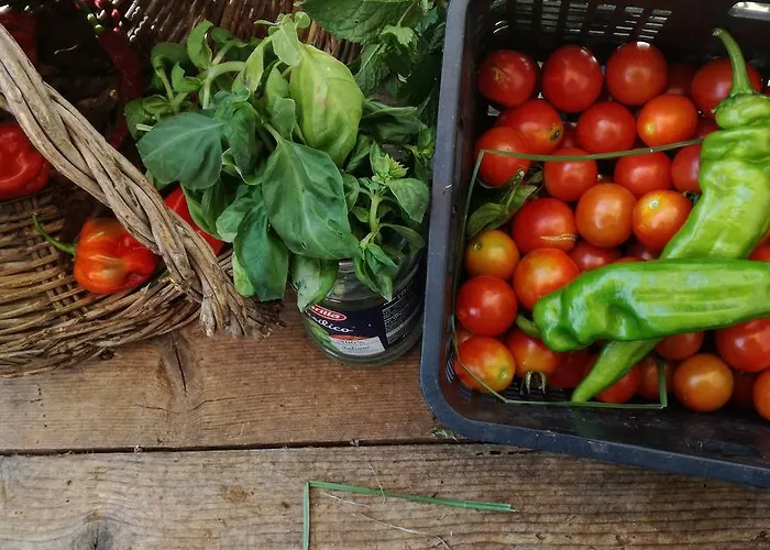 Bfb レジデンス サン マルコ 別荘